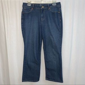 Style&Co. Jeans Women’s Straight Leg‎ Size 6 Short